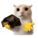 :deneg: